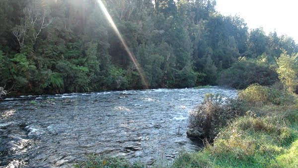 2014 NZ Okarito drive river 3