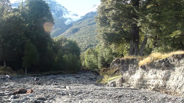 NZ 2014 drive to  Forest of Lothlorlen creek crossing