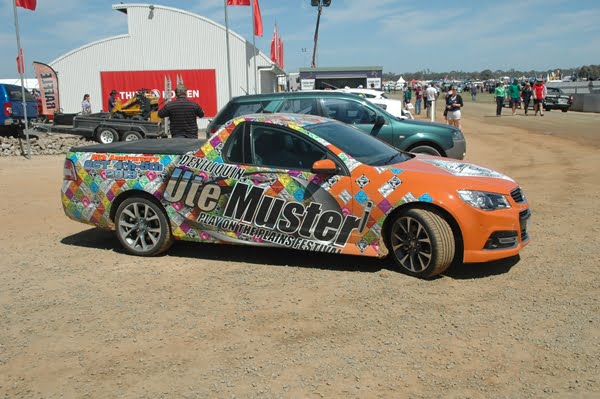 Deni-Ute-Muster-2013-Holden-Ute
