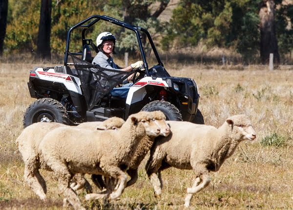 Polaris and Elders Insurance lead farm safety initiative