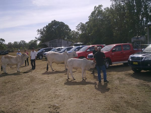 2012 Toyota HiLux Launch