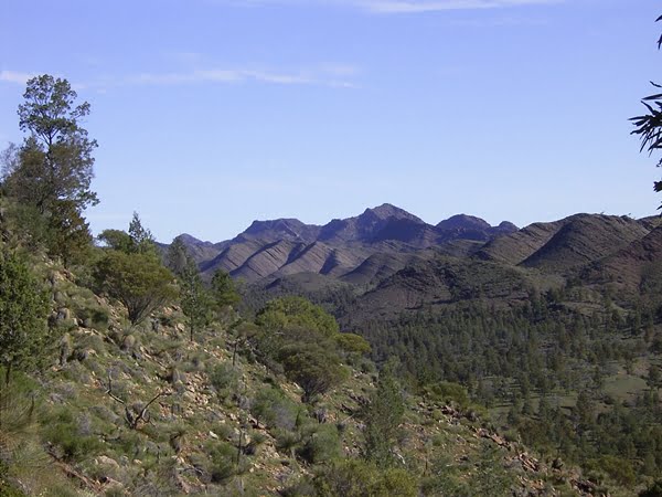 Australian Rogaining Championships 2012 flinders ranges