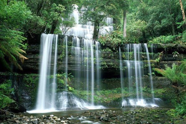 Russell Falls Mt Field National Park Tasmania