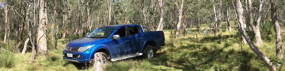 Mitsubishi Triton GLS 4WD