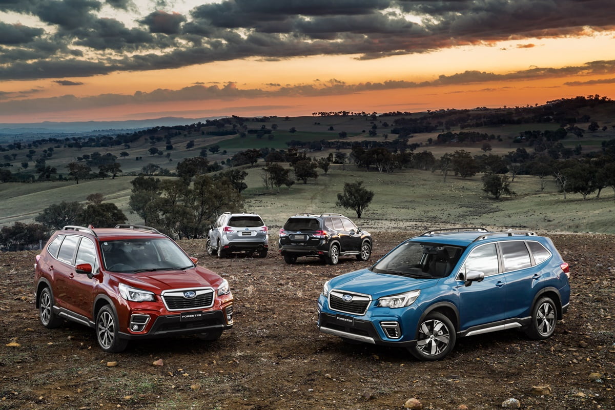 MY19 Subaru Forester range.