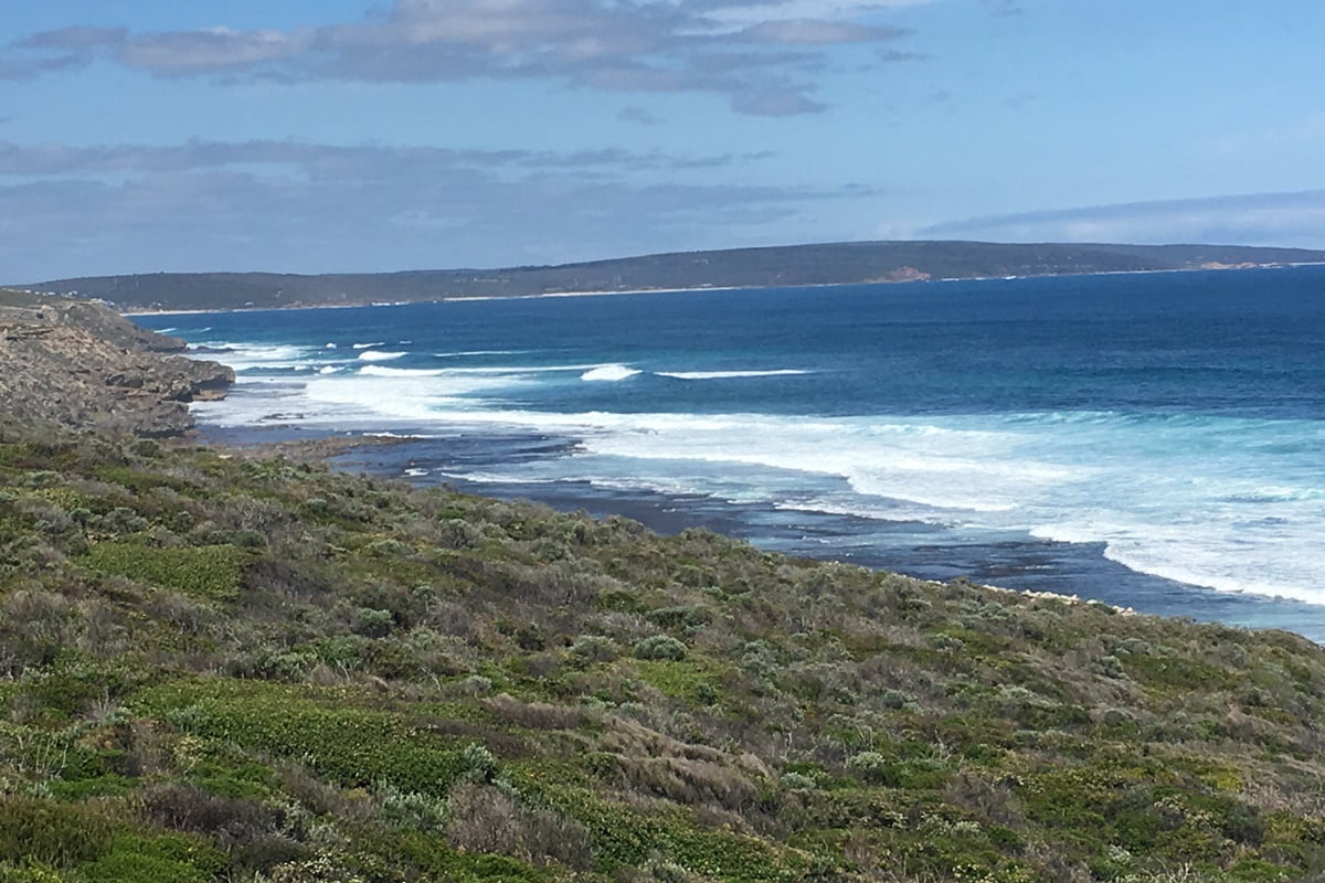 Navara Lifestyle Leeuwin NP 2