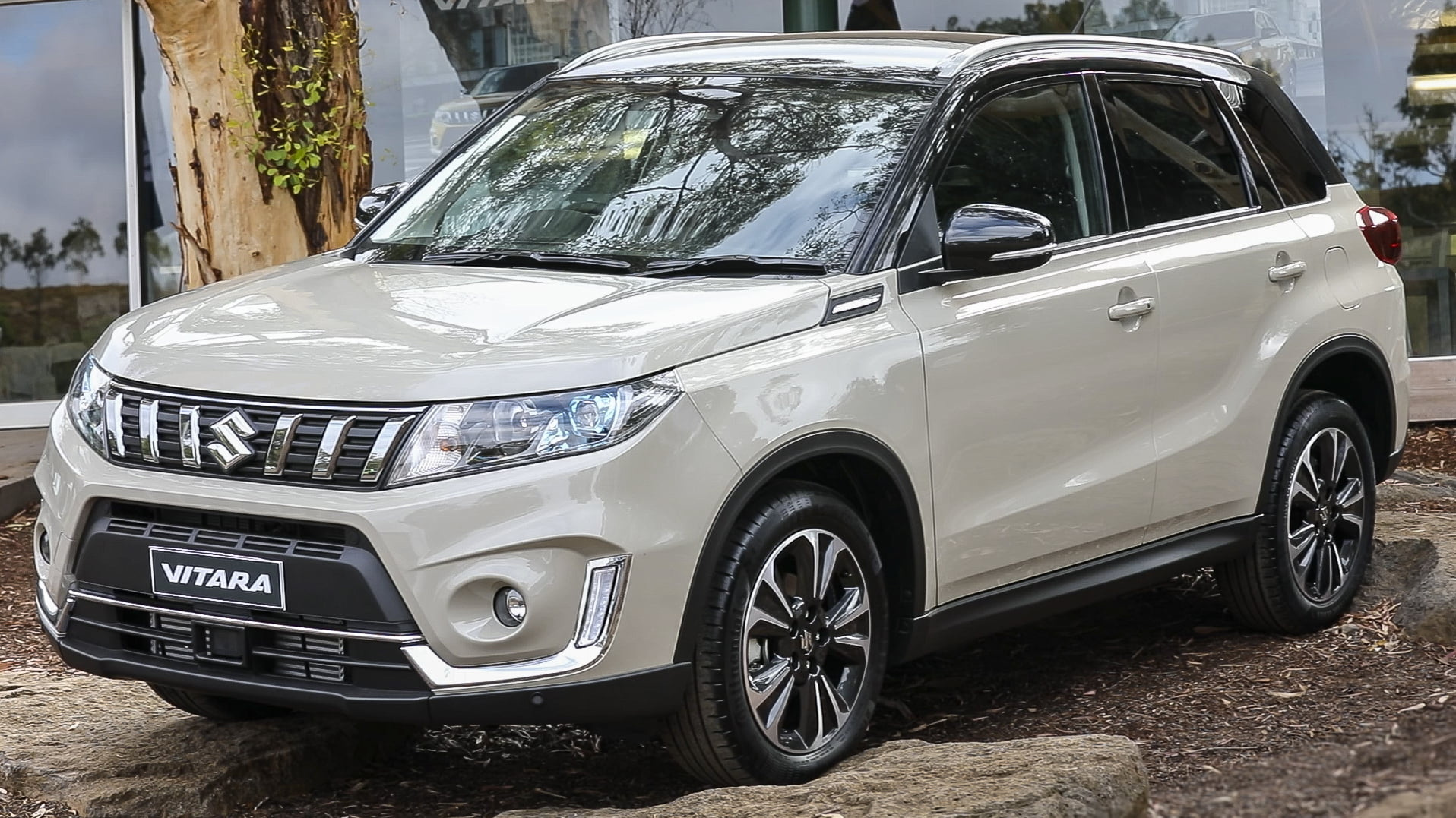 2019 Suzuki Vitara 