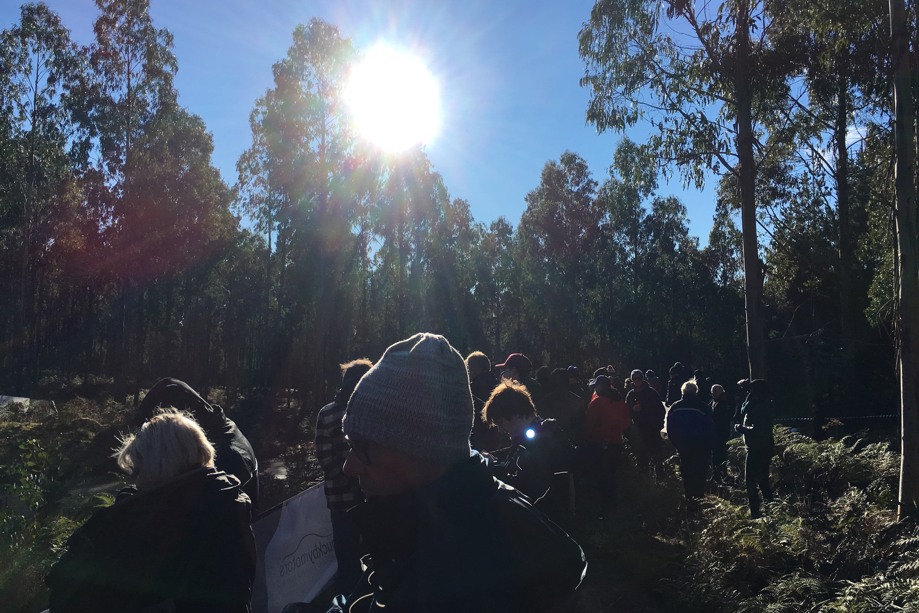 2019 Launceston Rally forest