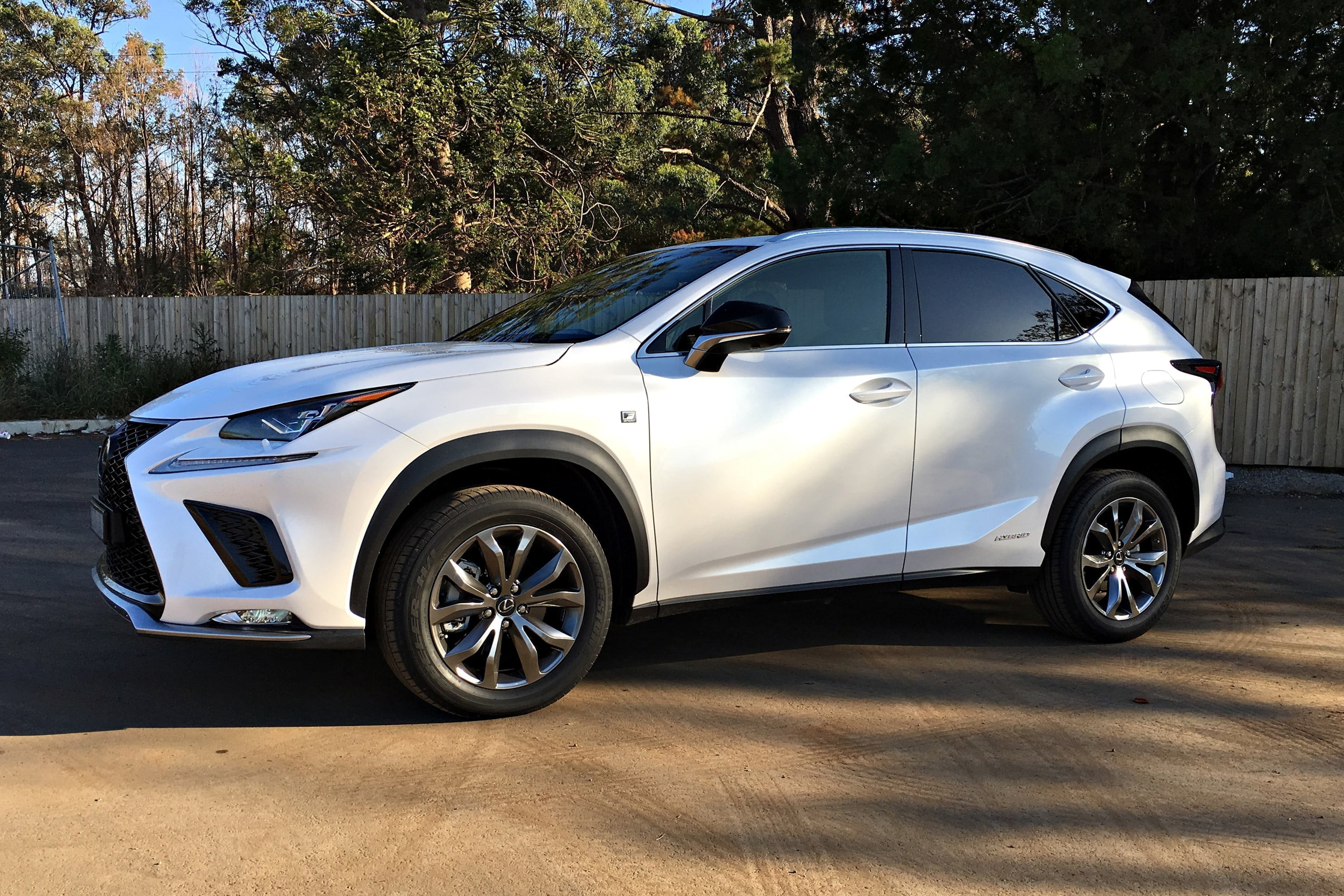 2019 Lexus NX 300h AWD F Sport side