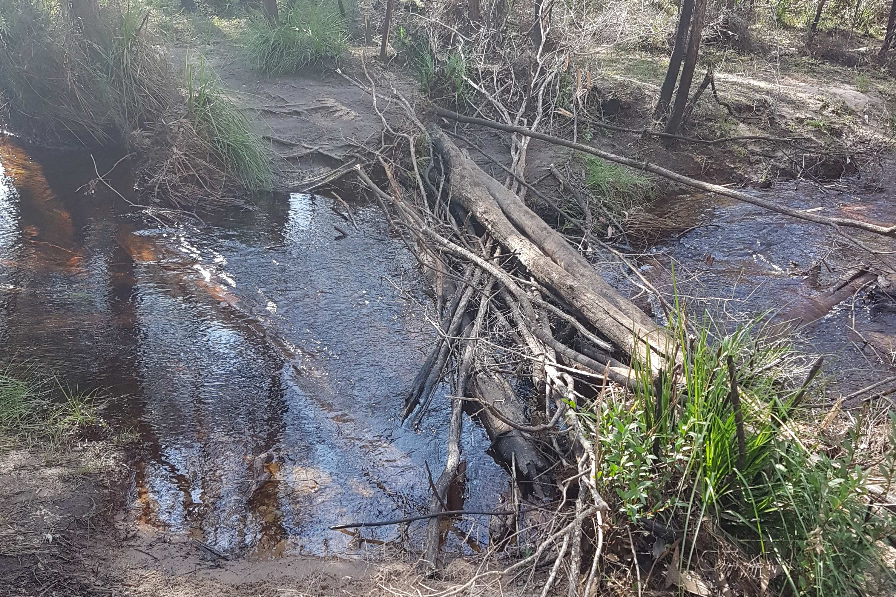 Bulcamatta Falls Creek Bridge 1