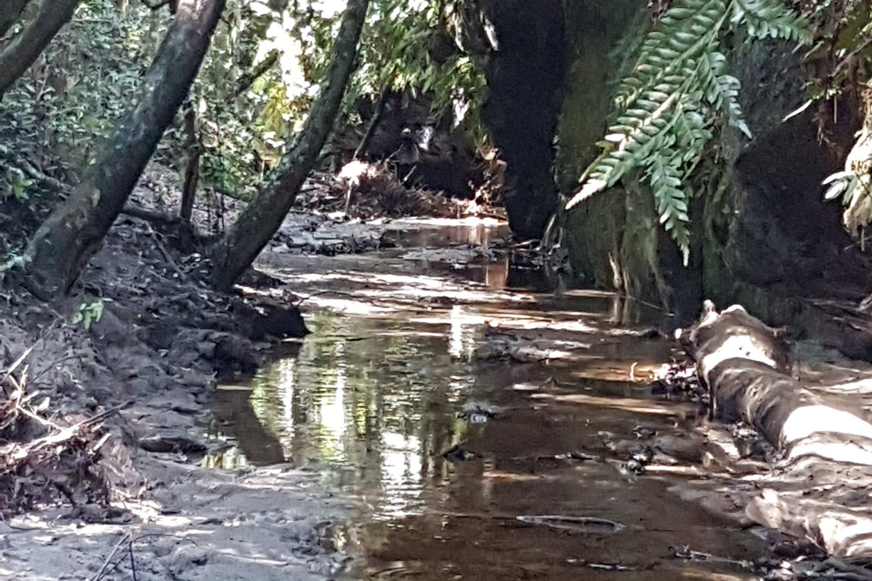 Bulcamatta Falls Falls looking back