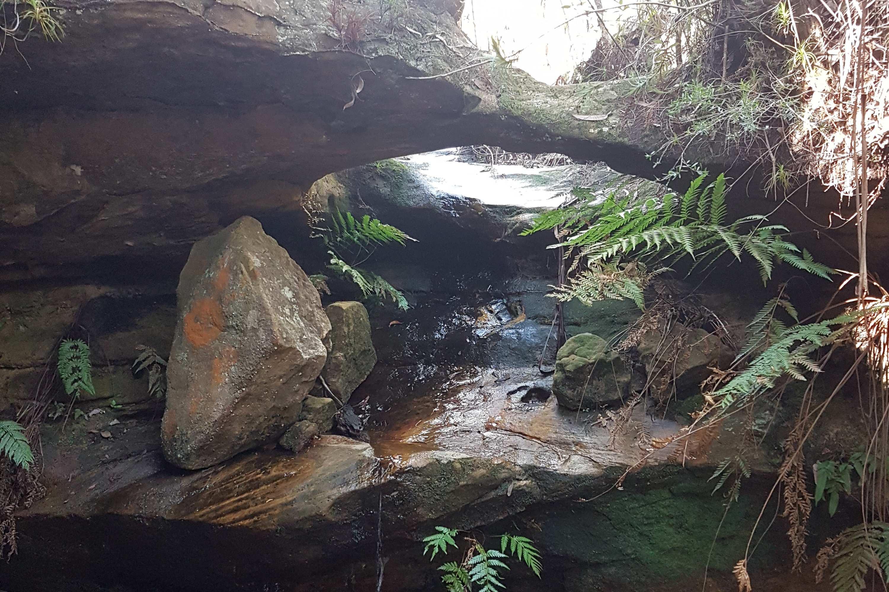 Bulcamatta Falls Grotto 2