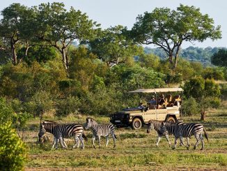 INEOS Grenadier Safari Vehicle by INEOS Kavango 2