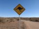 Kangaroo ahead sign beware
