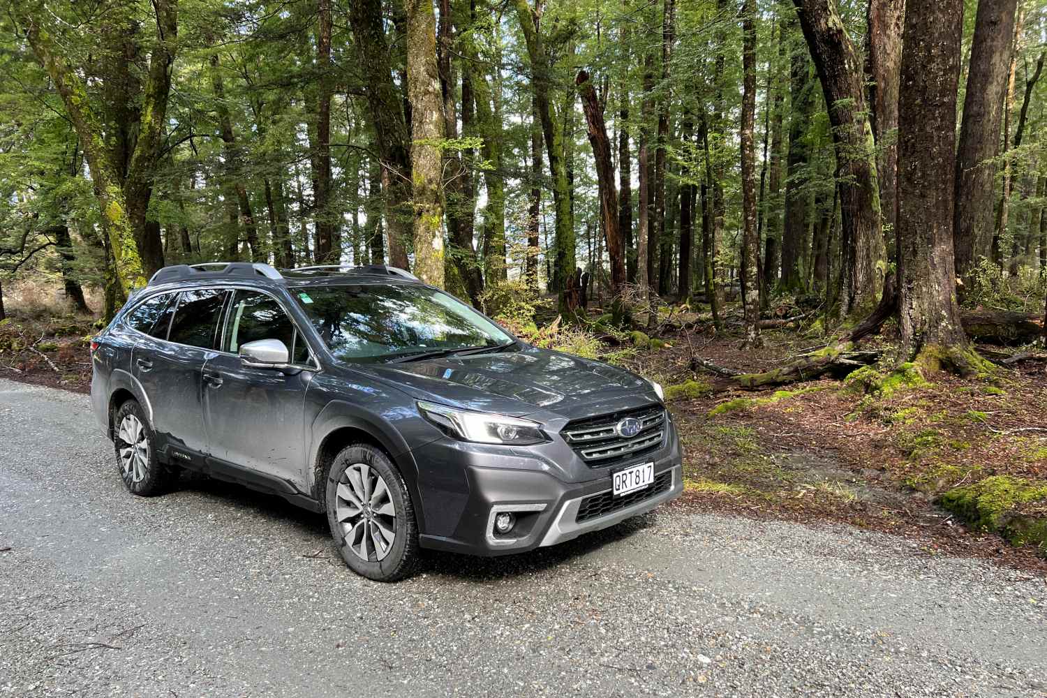 Subaru Outback at Beech Forest Paradise NZ