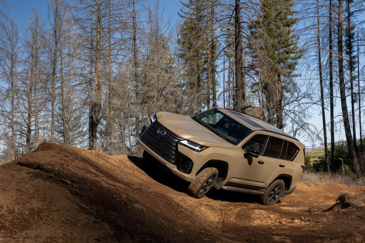 Lexus LX Overtrail 1
